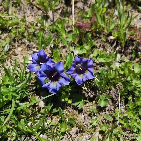 Auberge de jeunesse Touristenheim Bergfreude *