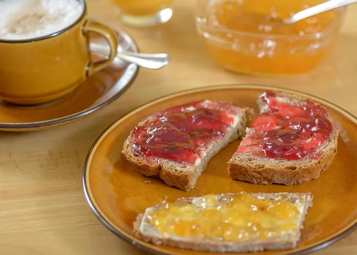 ホステル Touristenheim Bergfreude ロイカーバード